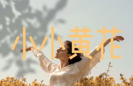 【373期】美到爆炸的90套莫兰迪风尚PPT模板