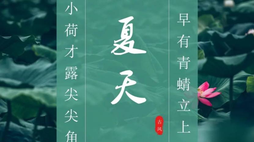 【736期】10套适合夏天用的PPT模板，送给你！