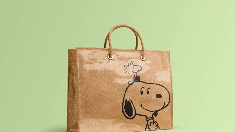 【1202期】杜邦纸袋！超级火爆的牛皮PVC杜邦纸袋样机给你们整来啦